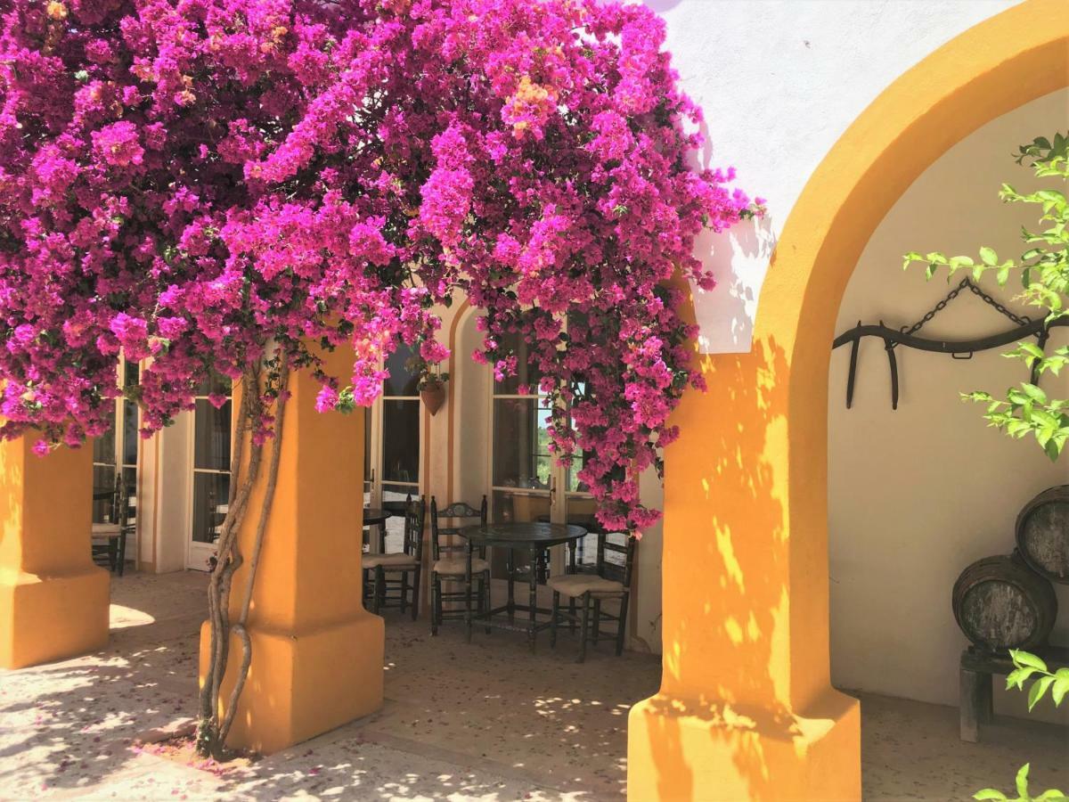 Hacienda La Morena Montellano Exterior foto